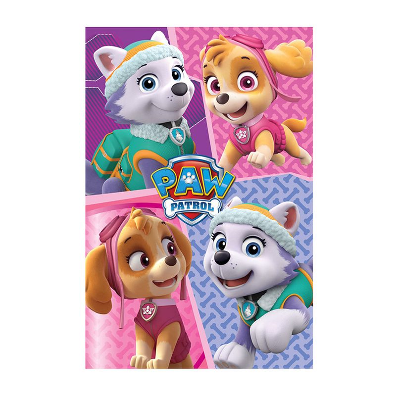 Manta polar coralina Paw Patrol Skye Everest 批发